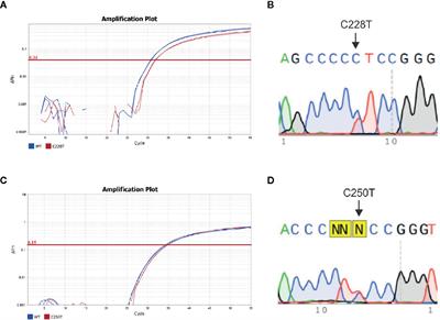 Advances in Detecting Low Prevalence Somatic TERT Promoter Mutations in Papillary Thyroid Carcinoma